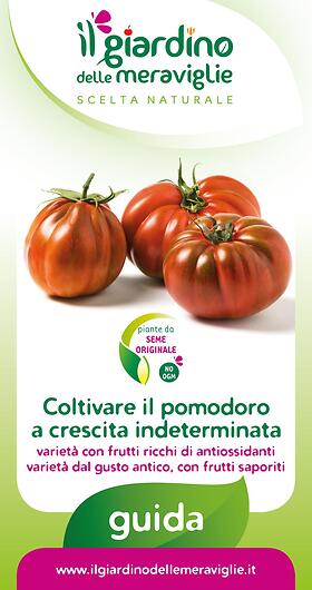 Coltivare il pomodoro a crescita indeterminata varietà con frutti ricchi di antiossidanti varieta dal gusto antico, con frutti saporiti