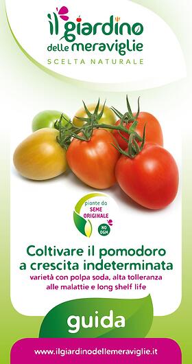 Coltivare il pomodoro a crescita indeterminata varieta con polpa soda, alta tolleranza alle malattie e long shelf life