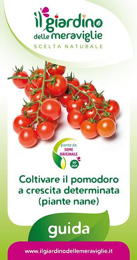 Coltivare il pomodoro a crescita determinata (piante nane)