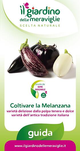 Coltivare la Melanzana varietà deliziose dalla polpa tenera e dolce varietà dell’antica tradizione italiana