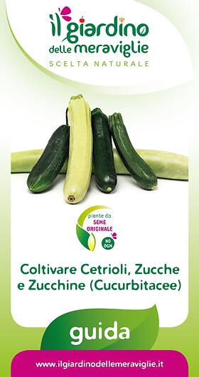 Coltivare Cetrioli, Zucche e Zucchine (Cucurbitacee)