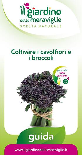 Coltivare i cavolfiori e i broccoli