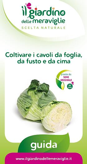 Coltivare i cavoli da foglia, da fusto e da cima