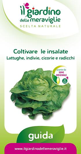 Coltivare le insalate: lattughe, indivie, cicorie e radicchi