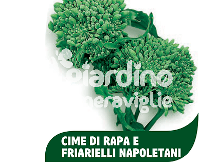 Friarielli Napoletani