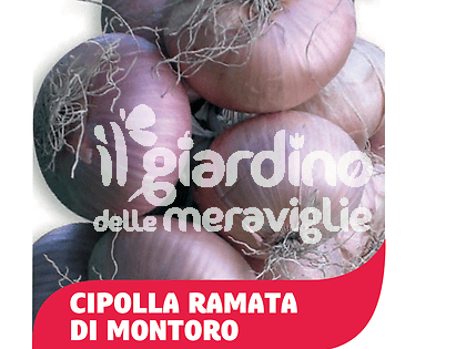 Cipolla ramata dolce Montoro IGP