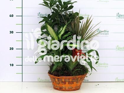 Composizione cestino in vimini