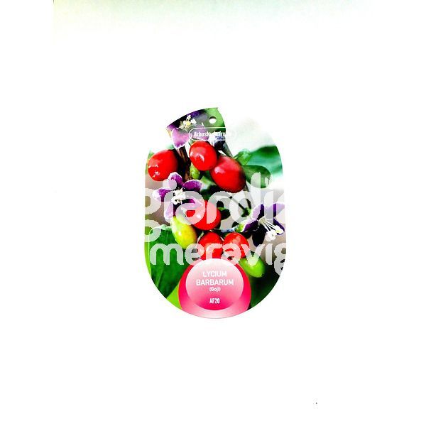Goji Berry