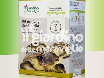 Kit per Funghi Cardoncelli