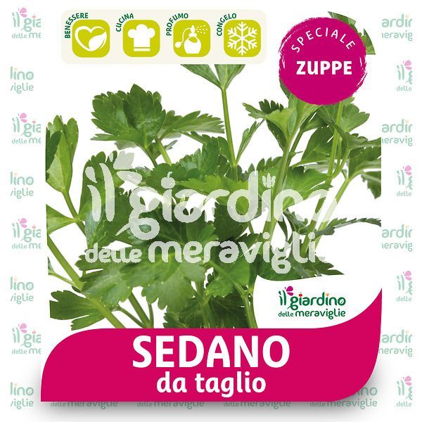 Sedano da taglio