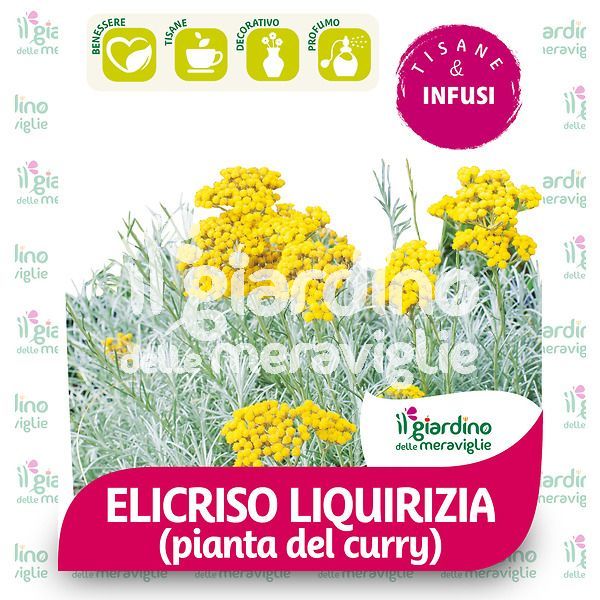 Elicriso Liquirizia