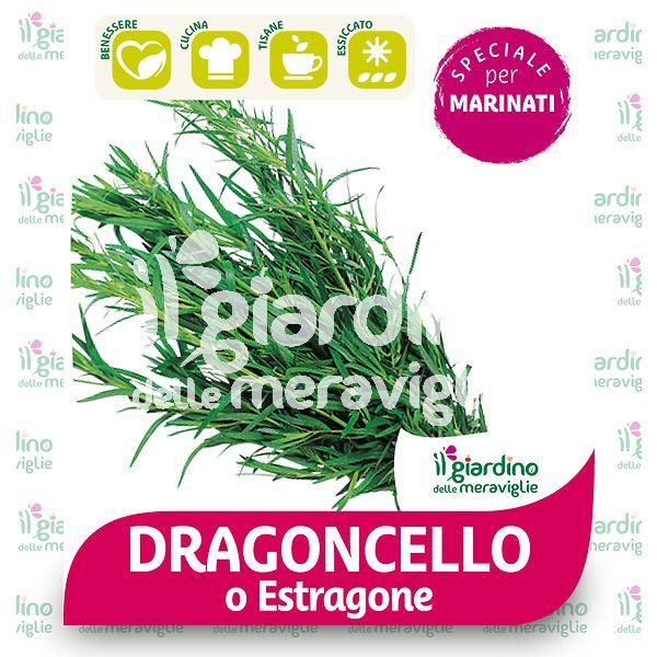 Dragoncello o Estragone