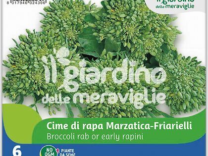 Cime di rapa Marzatica - friarielli