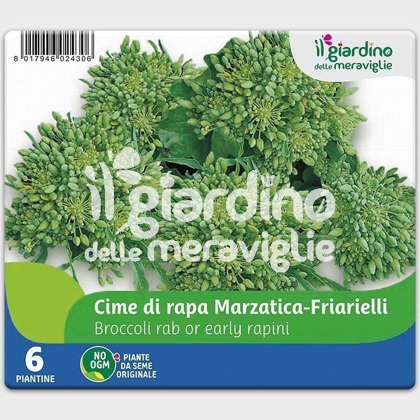 Cime di rapa Marzatica - friarielli