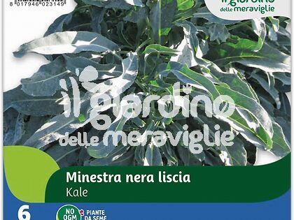 Minestra Nera Liscia