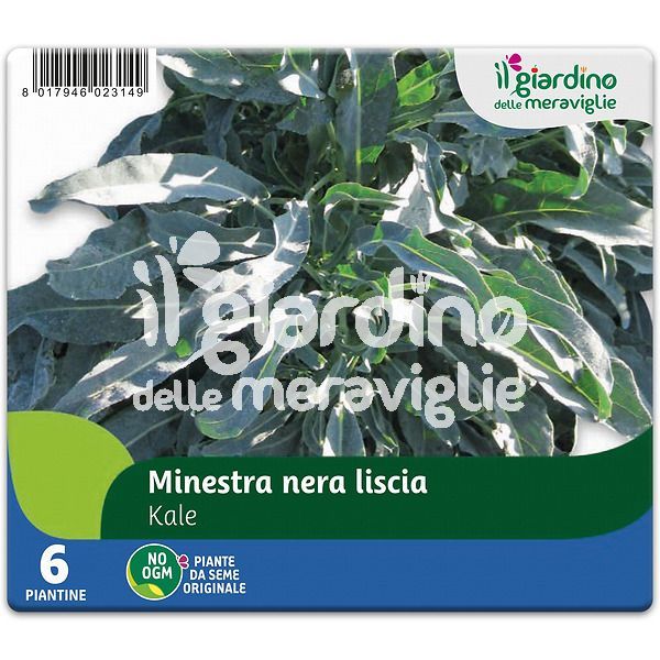 Minestra Nera Liscia