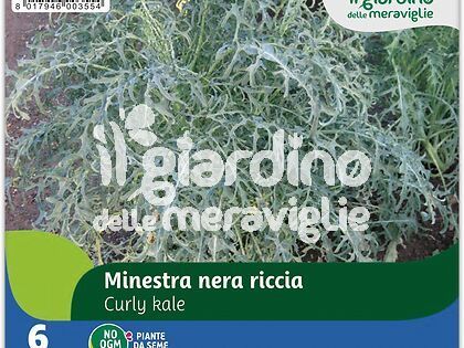 Minestra Nera Riccia