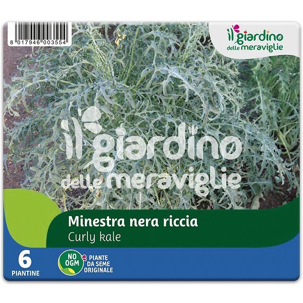 Minestra Nera Riccia