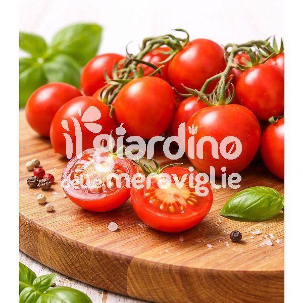 Pomodoro pizzutello ecosal punta a goccia