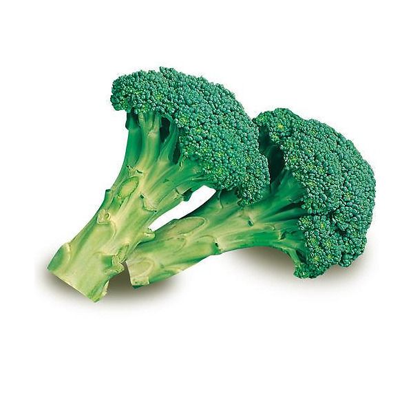 Cavolo broccolo Ramoso Calabrese