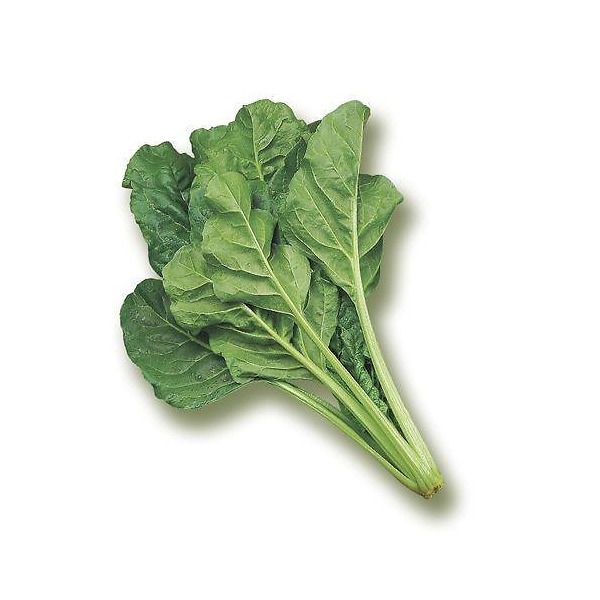 Piante Di Bietola Da Taglio