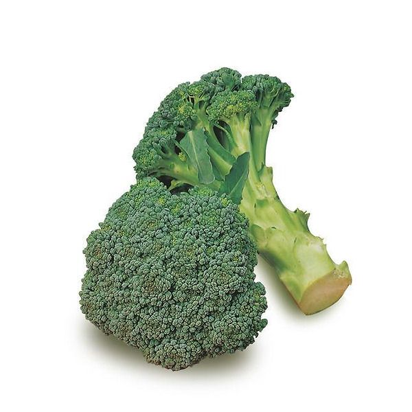 Cavolo broccolo precoce 65 giorni