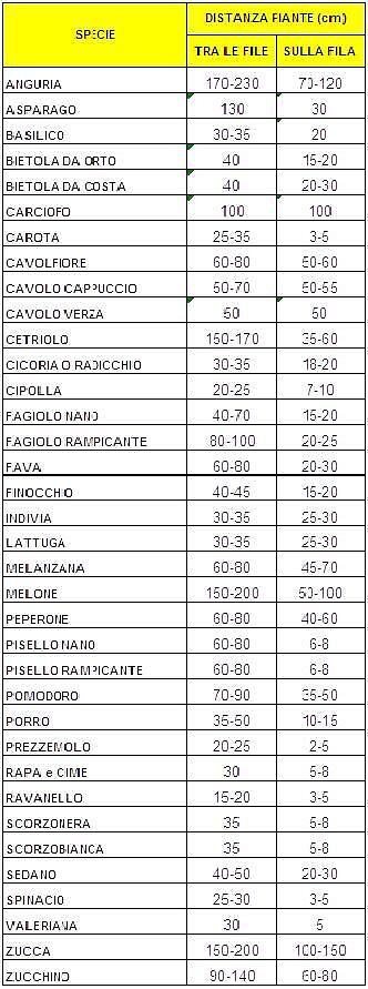 Sesti d'impianto piante da orto