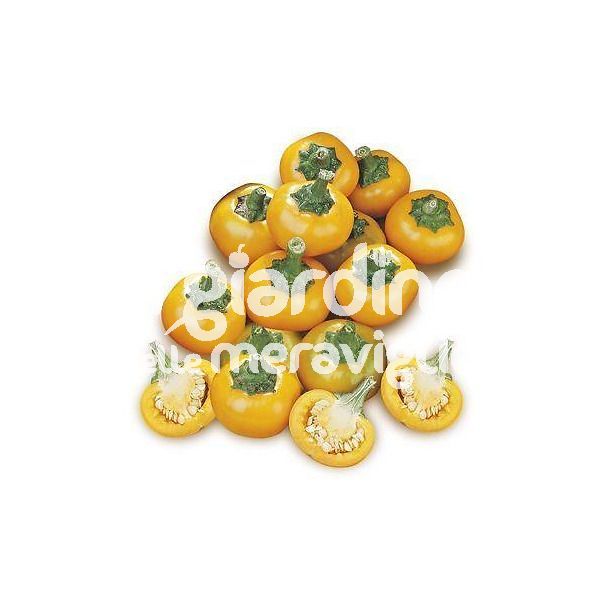 Peperone piccante ciliegia giallo