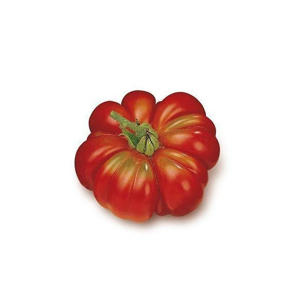 30 semi di pomodoro Costoluto Fiorentino, cimelio italiano - Italia 30 semi di pomodoro Costoluto Fiorentino, cimelio italiano - Italia