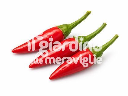 Peperoncino Diavoletto