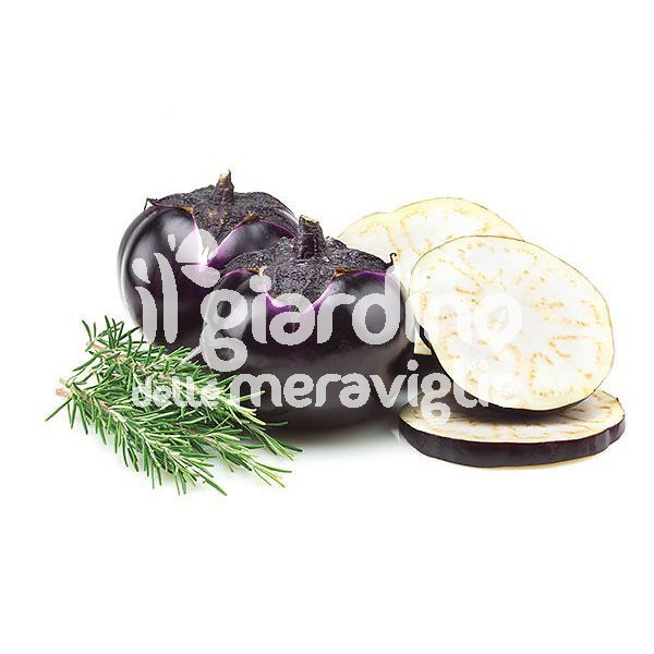 Melanzana tonda violetta Bella Vittoria