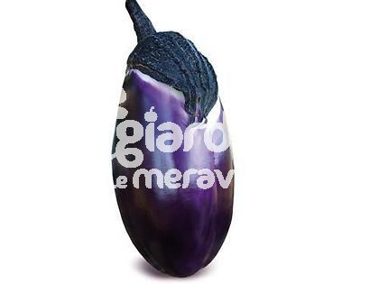 Melanzana violetta Messinese innestata