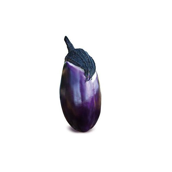 pianta melanzana violetta lunga innestata