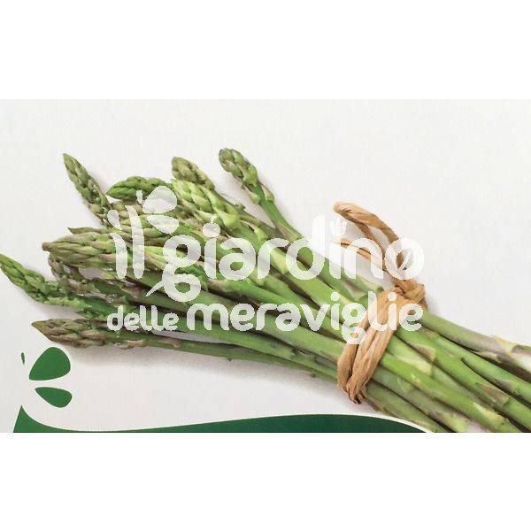 Asparago selvatico