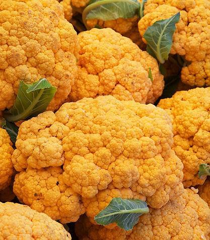 Piante Di Cavolfiore Arancione