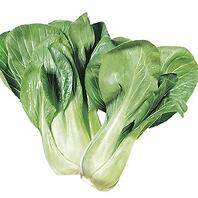 piantine cavolo broccolo green belt, da orto