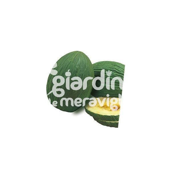 Melone verde Tendral