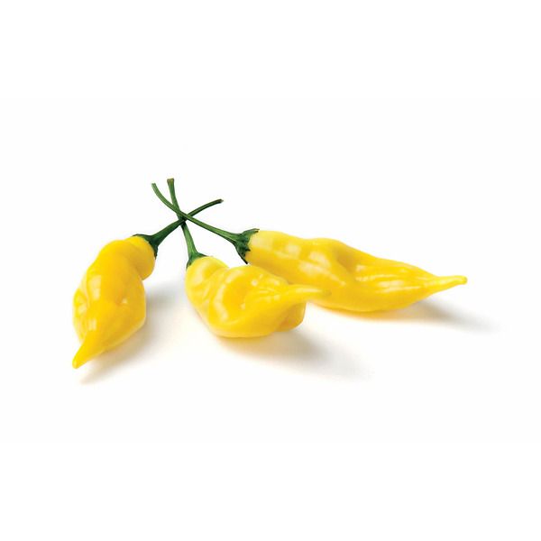Peperoncino piccante Hot Lemon