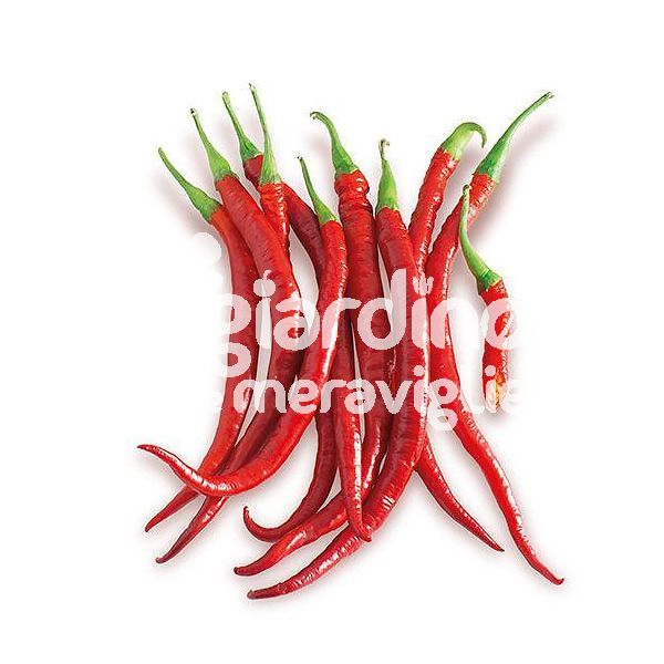 Peperone piccante di Cayenna