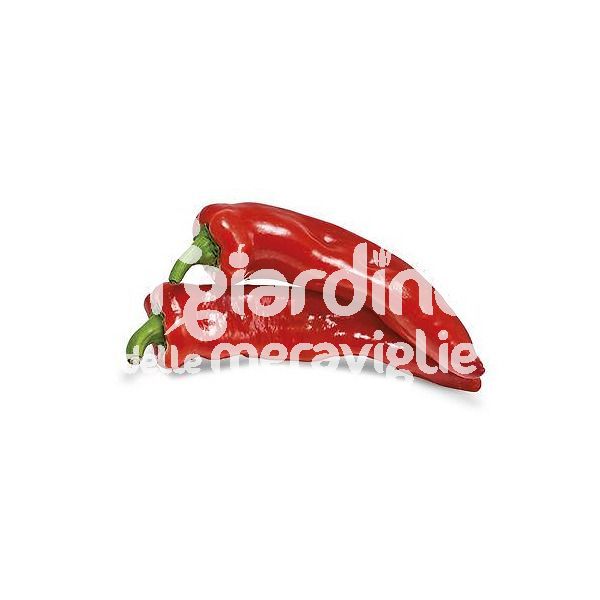 Peperone Corno piccante