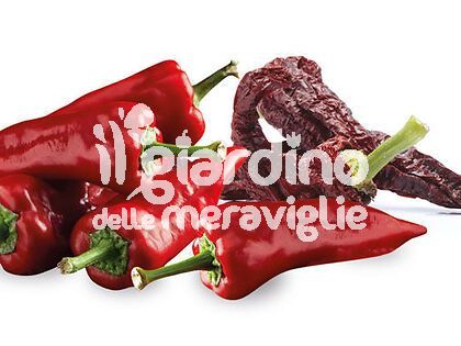 Peperone Senise &amp;quot;Crusco&amp;quot; croccante