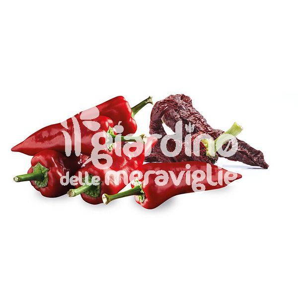 Peperone Senise &quot;Crusco&quot; croccante
