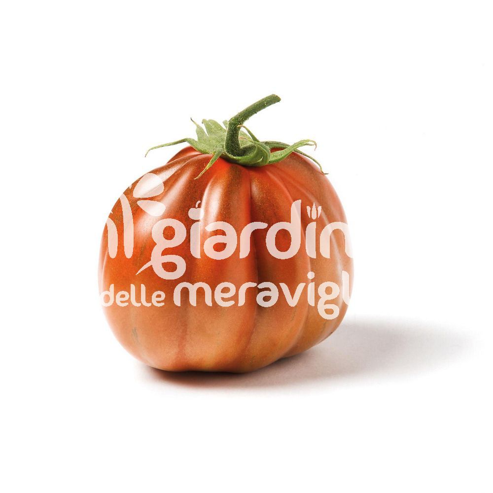 Semi Pomodoro Cuore Di Bue – 100 Semi Da Giardino, Per Ortaggi Grossi E Saporiti!