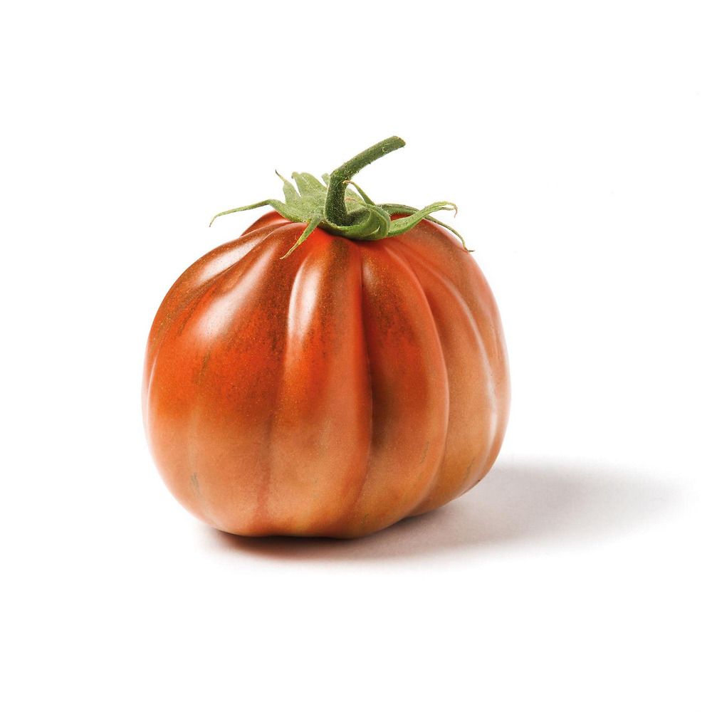 Piante Di Pomodoro Cuore Di Bue Sel Albenga Innestato