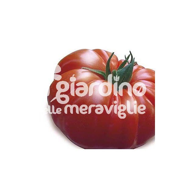 Pomodoro buffalo steak