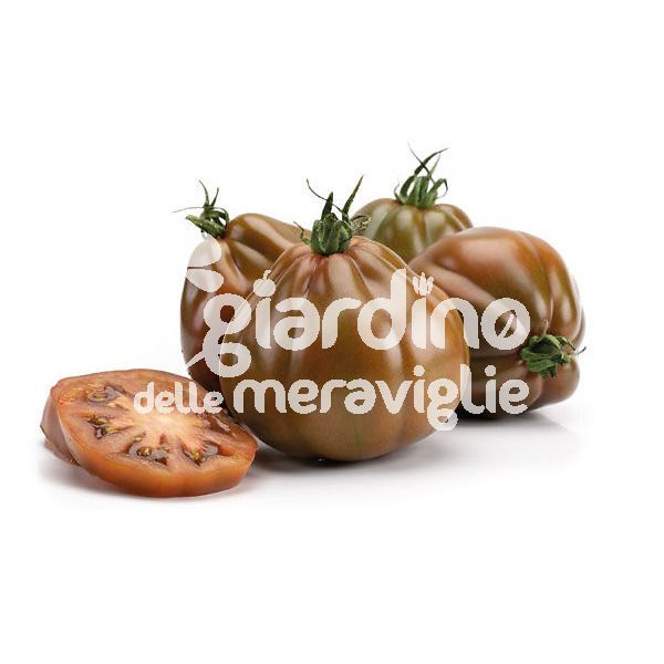 Pomodoro Cuore di Bue Cuore Brown