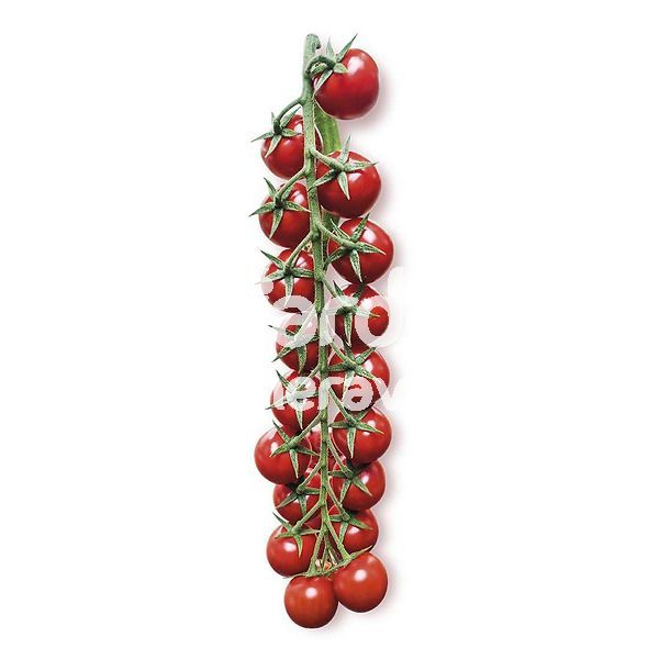 Pomodoro ciliegino minoprio
