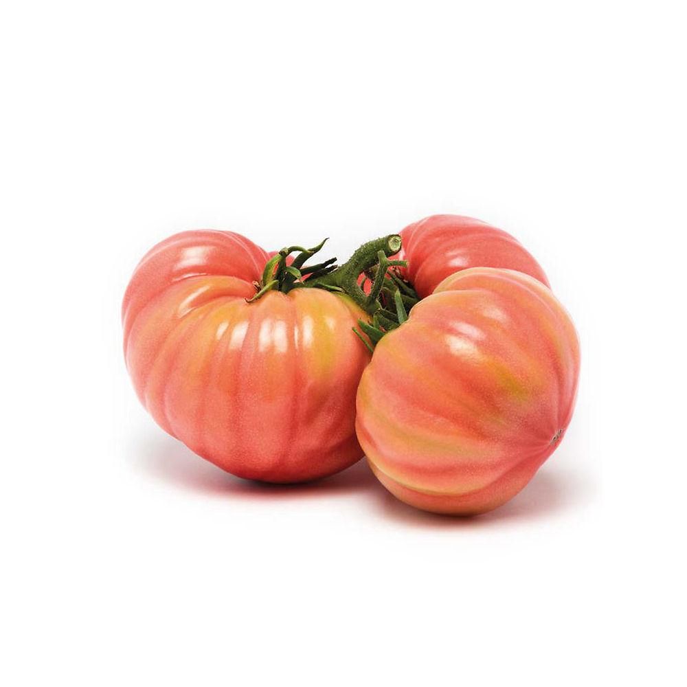 Piante Di Pomodoro Rosa Sorrento