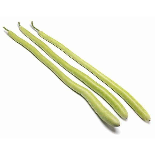 Zucchino pergola lagenaria lunga