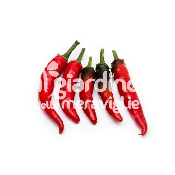 Peperoncino piccante acrata o viagra naturale